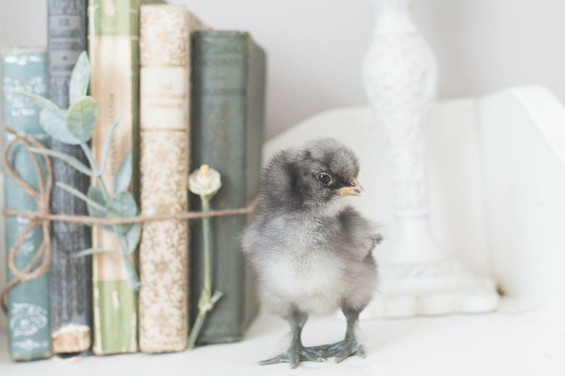 (Image: Unsplash)