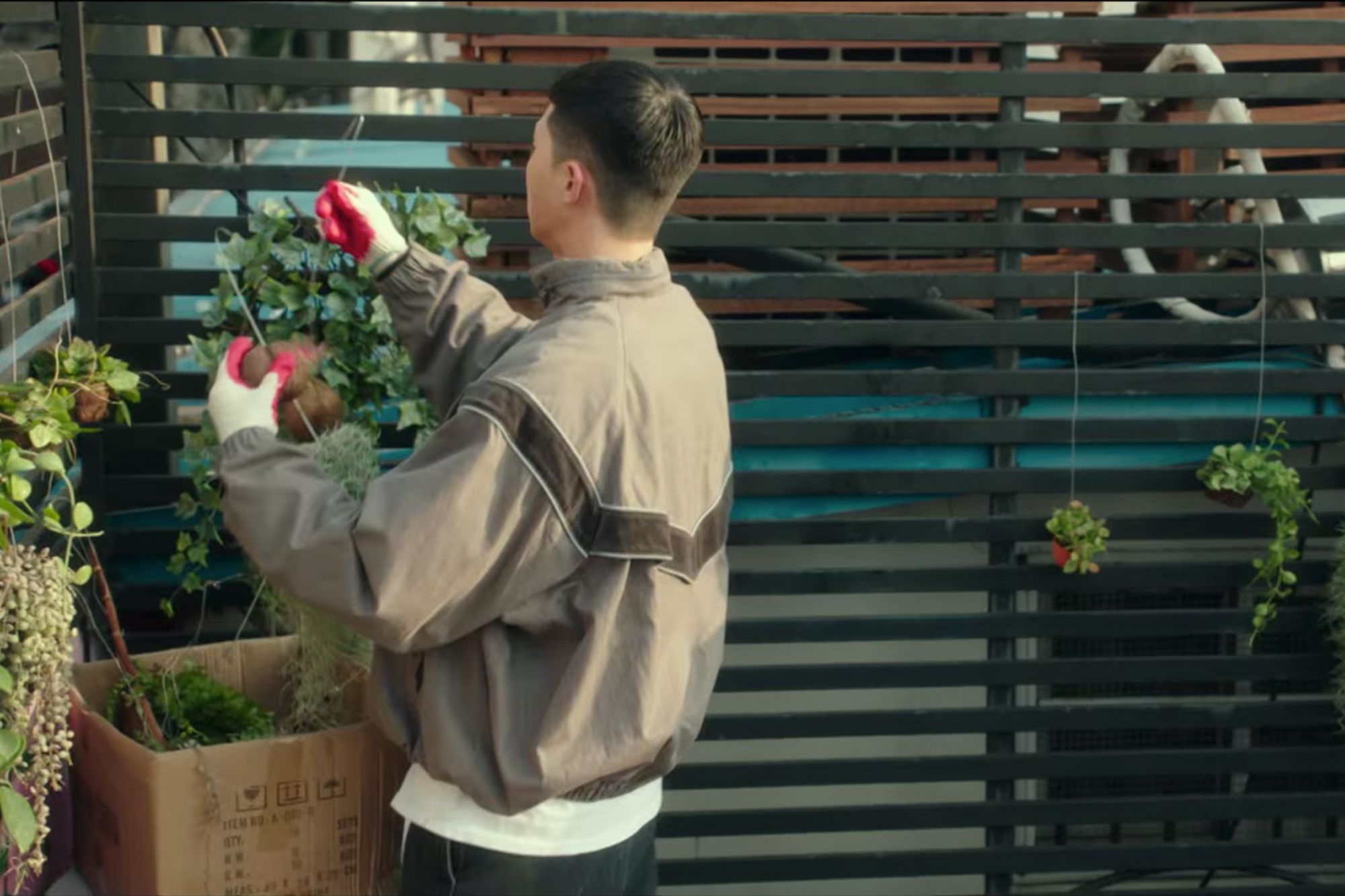 Park Saeroyi hanging plants for DanBam in Itaewon Class (Image: Netflix)