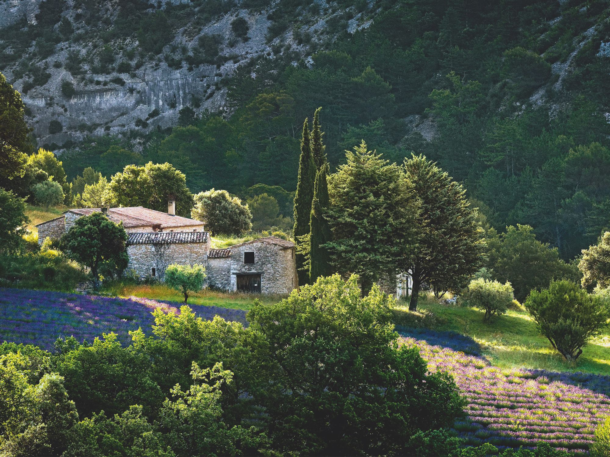 A mas (Provençal farmhouse) amidst fields of lavender paint an idyllic setting (Image: Eric Martin, courtesy of Assouline)