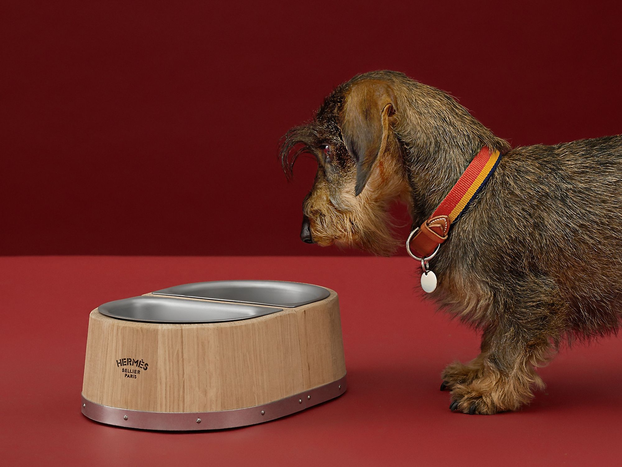 Dog bowl (small model), available from Hermès