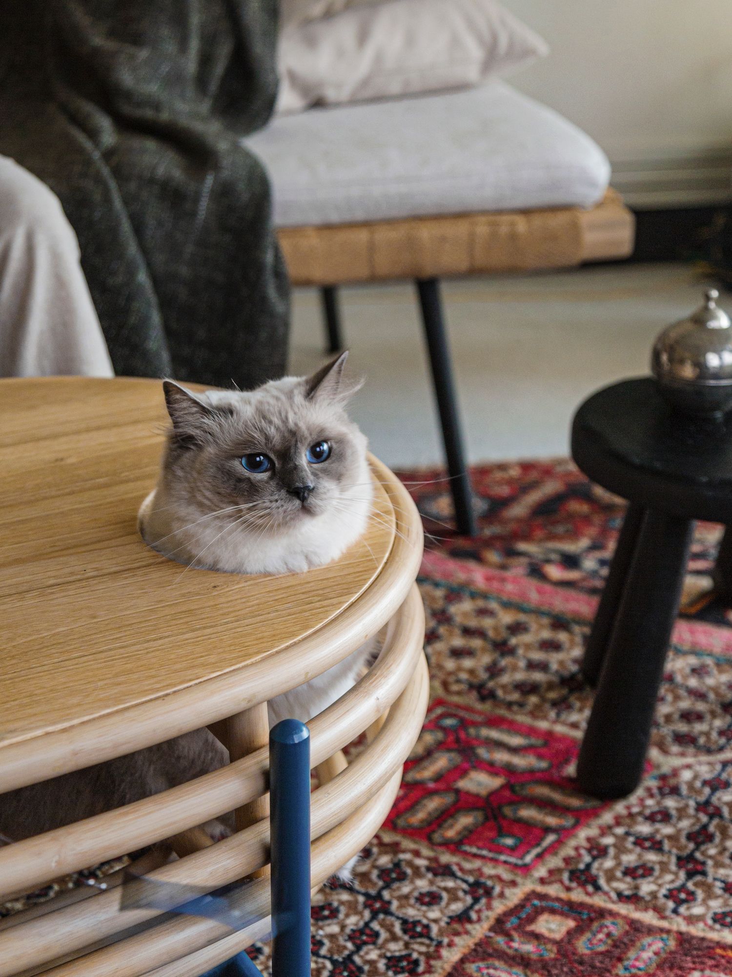 Hide and Seek coffee table by Fraction Design Studio, available from fraction.sg