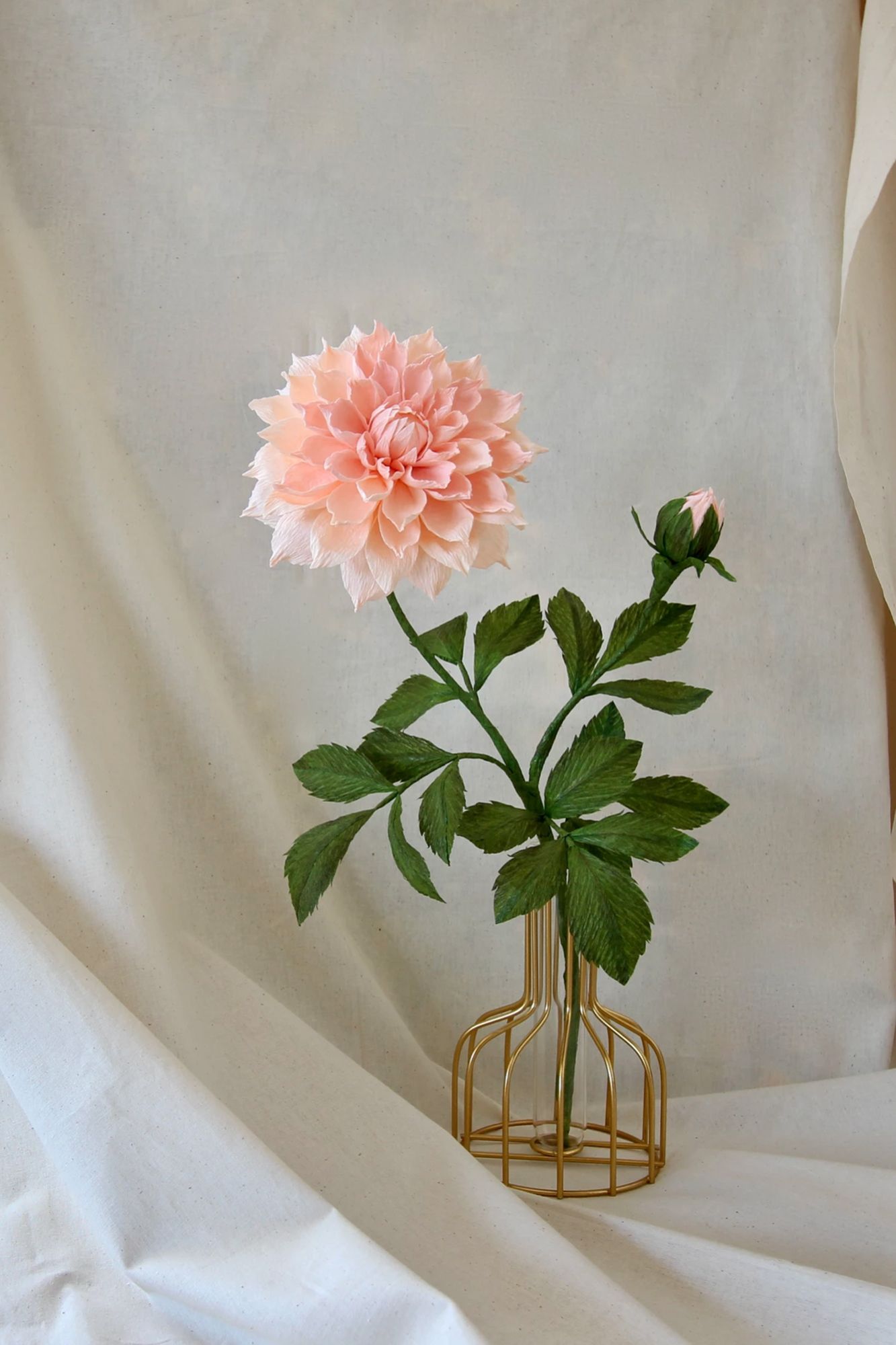 Dahlia by Miss Petal and Bloom
