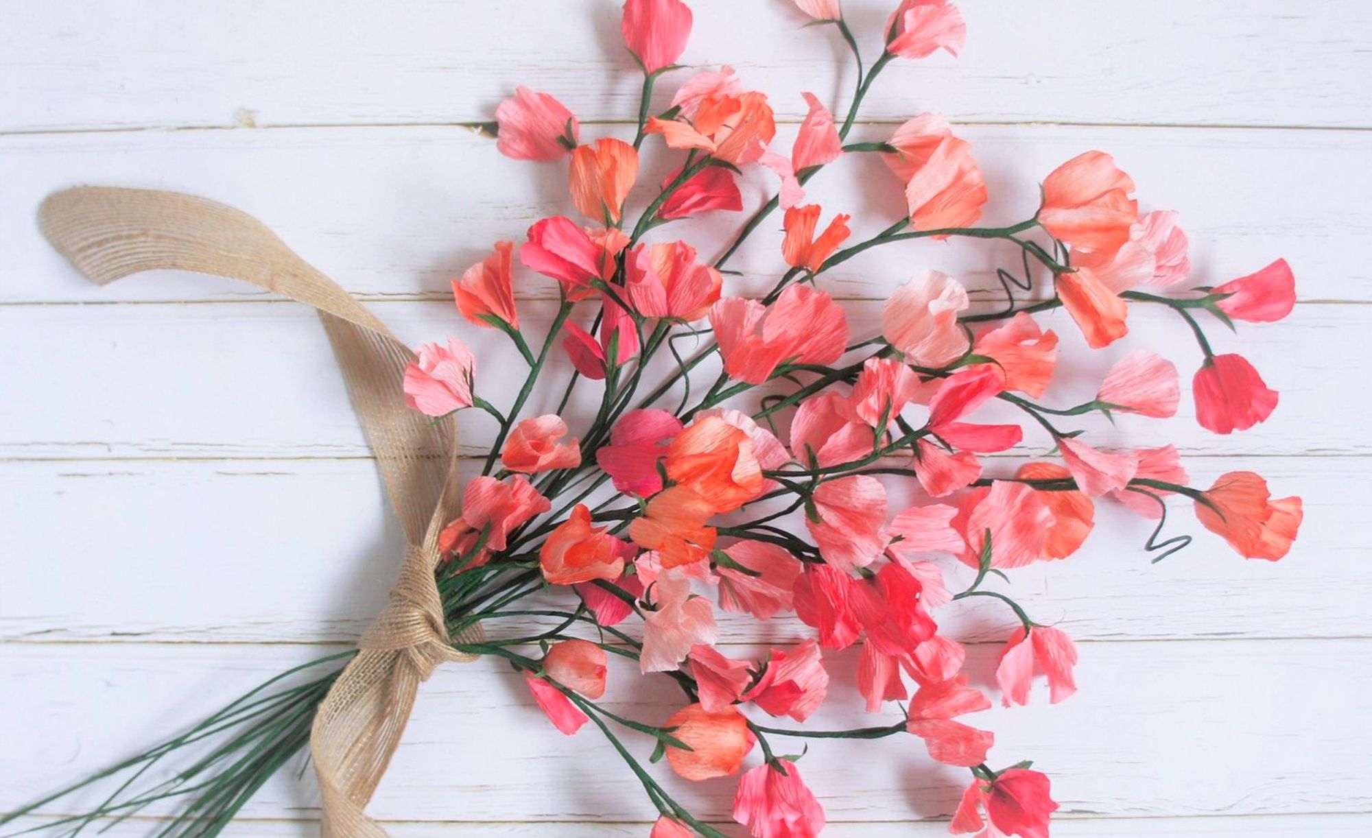 Merremade workshops is designed with plenty of instructions and guidance