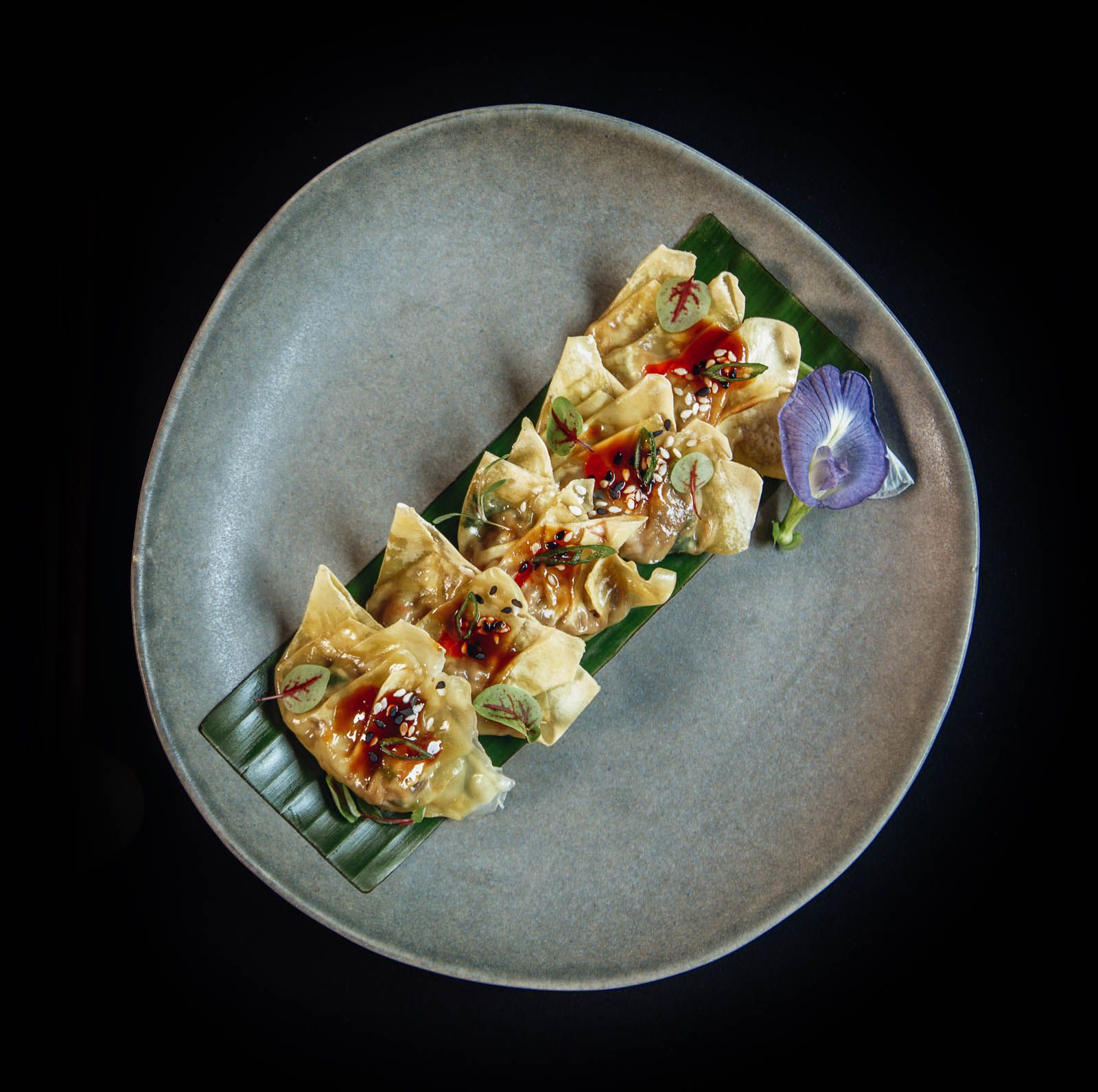 Chicken dumplings