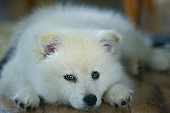 Photo: Unsplash