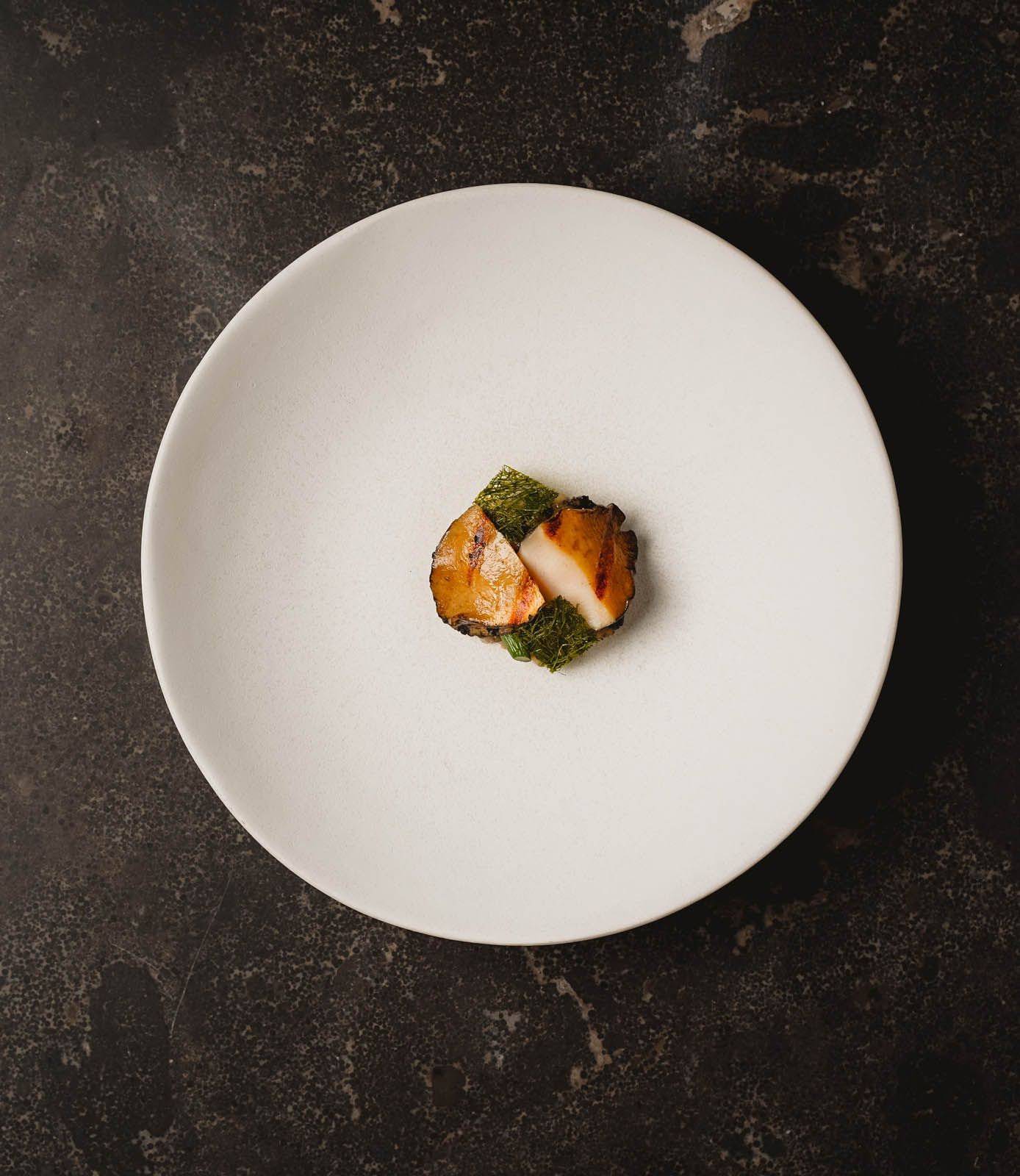 Jeju abalone