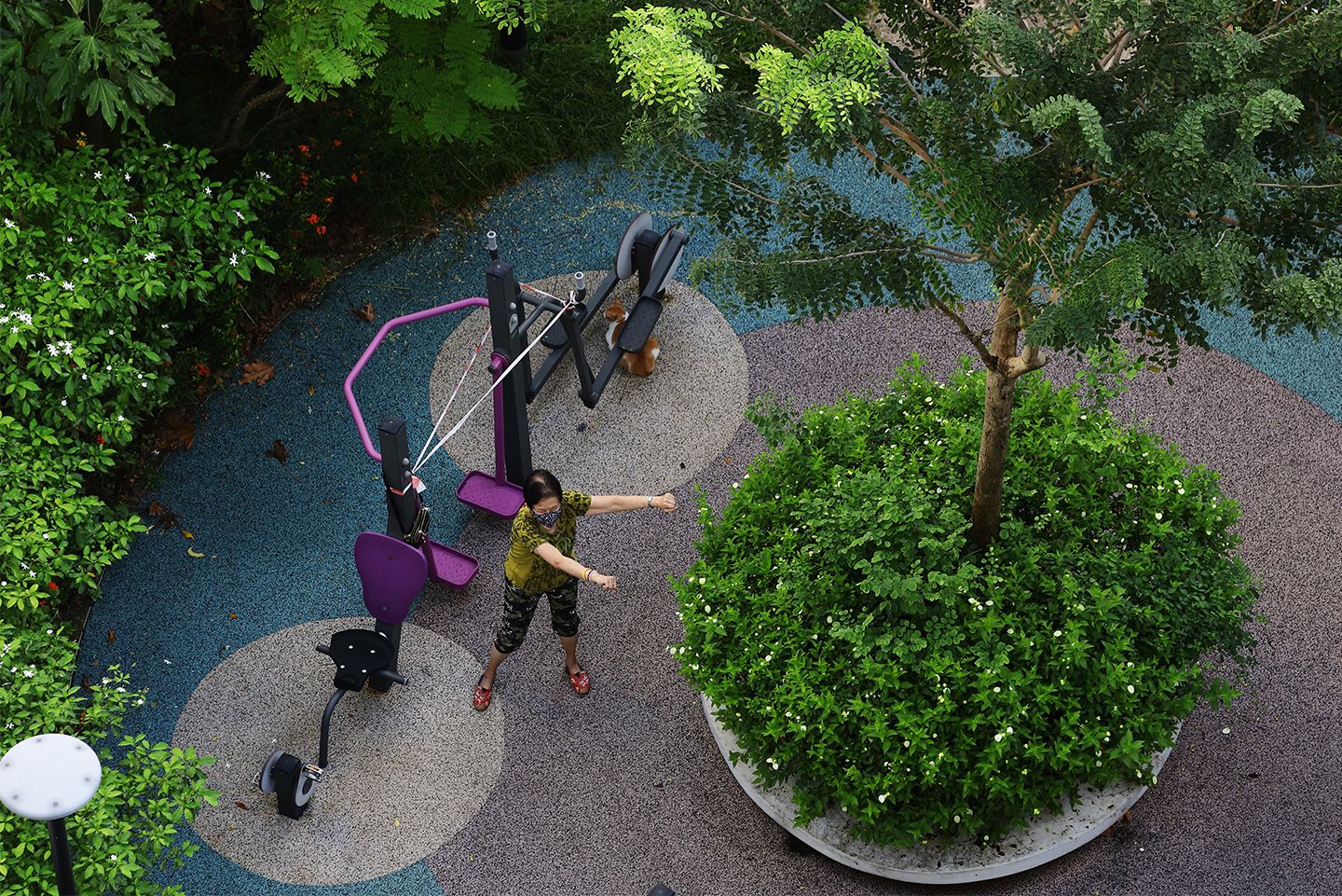 A woman wearing protective mask exercises at a cordoned off fitness corner. Photo: Suhaimi Abdullah/Getty Images