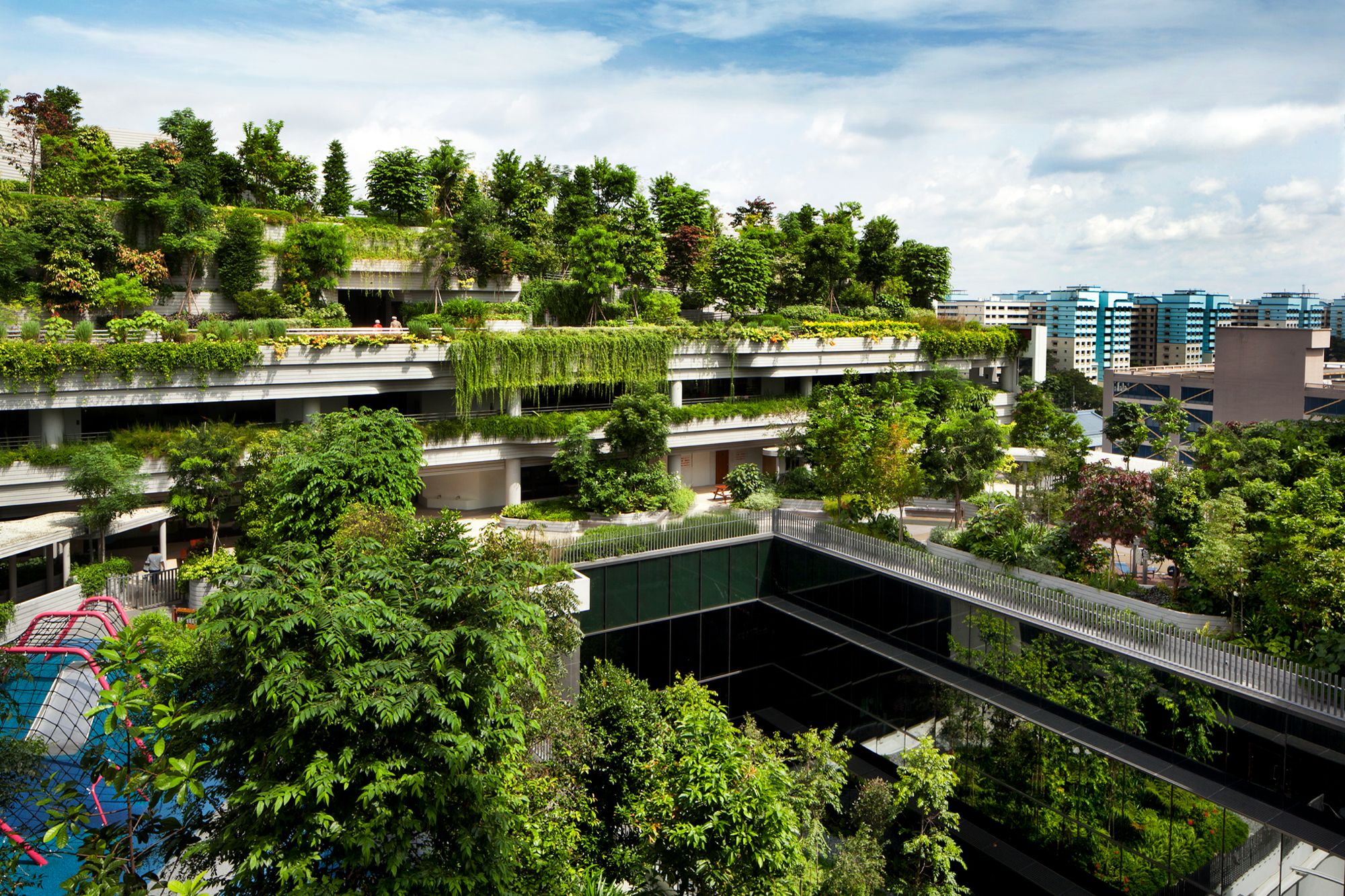 WOHA Architects designed an urban village for seniors that encompasses the kampung spirit familiar to them Image: Courtesy of DesignSingapore