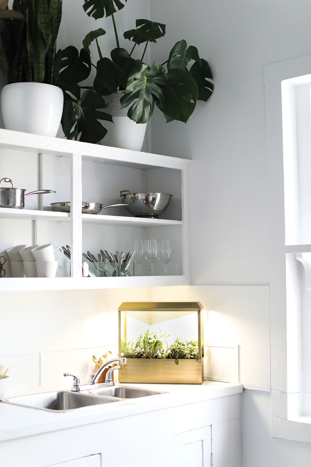 Designed as a chic visual statement, the growhouse looks at home whether it's placed in the kitchen or living room Image: Modern Sprout