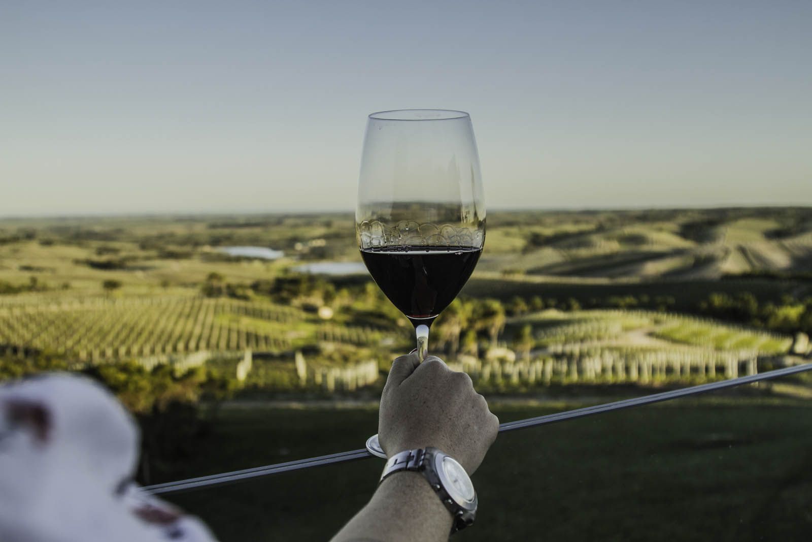 Bodega Garzón