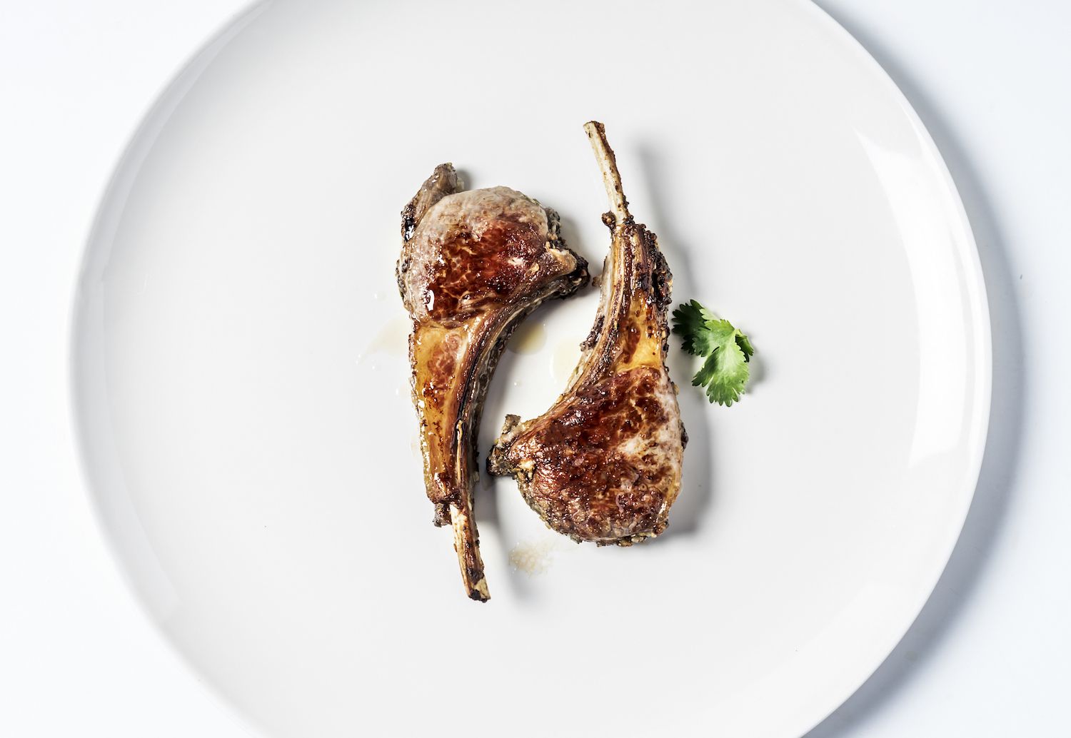 Grilled lamb ribs on a plate on white background