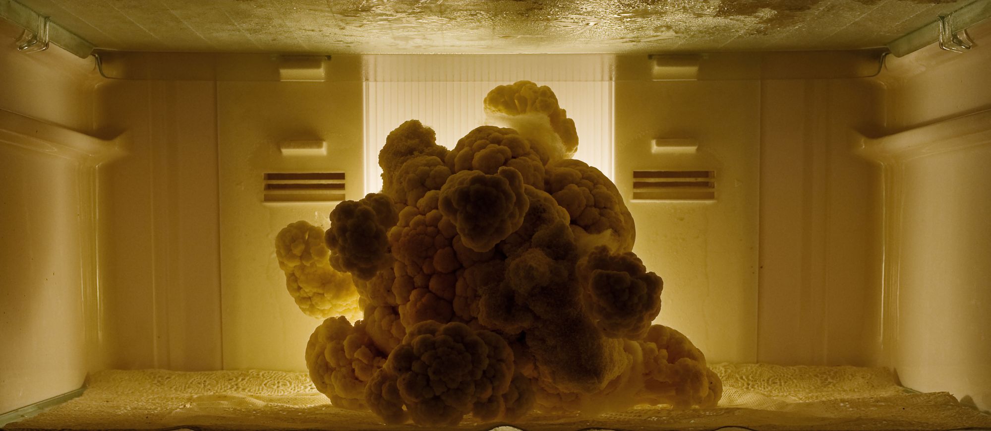 普拉賈克塔.波特尼斯 (Prajakta Potnis),《靜物》,2009,數位輸出於長纖維棉漿紙,137×87公分。圖像由藝術家提供。