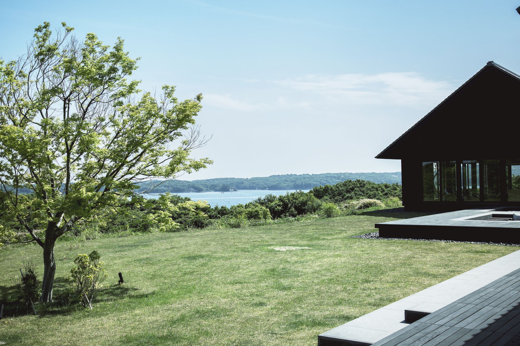 Amanemu