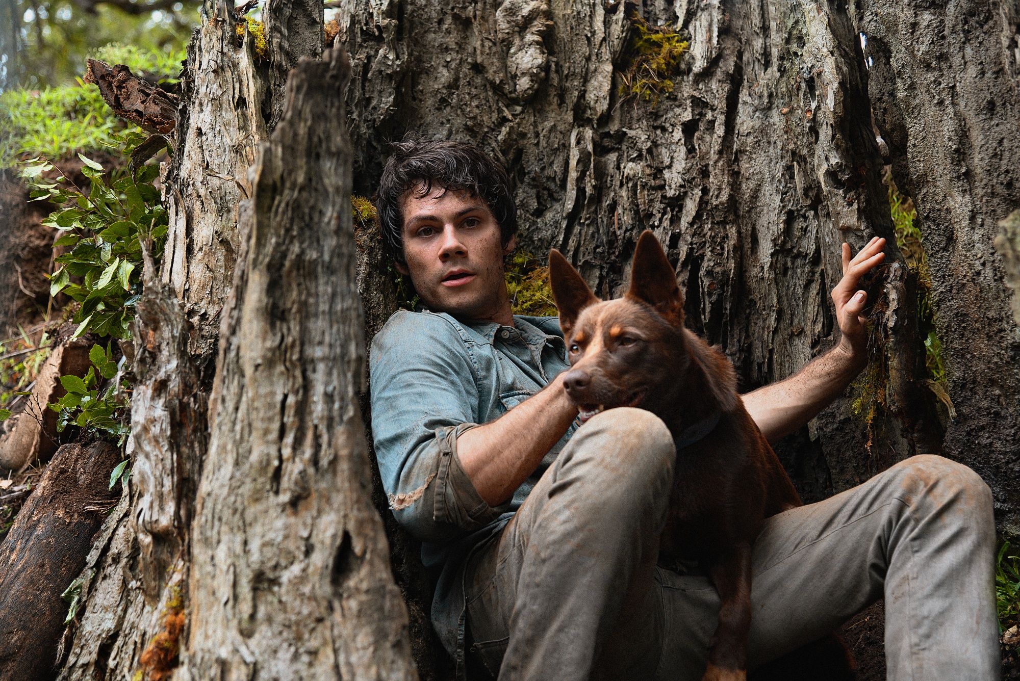 Dylan O'Brien stars in LOVE AND MONSTERS from Paramount Pictures and Paramount Players. Photo Credit: Jasin Boland.