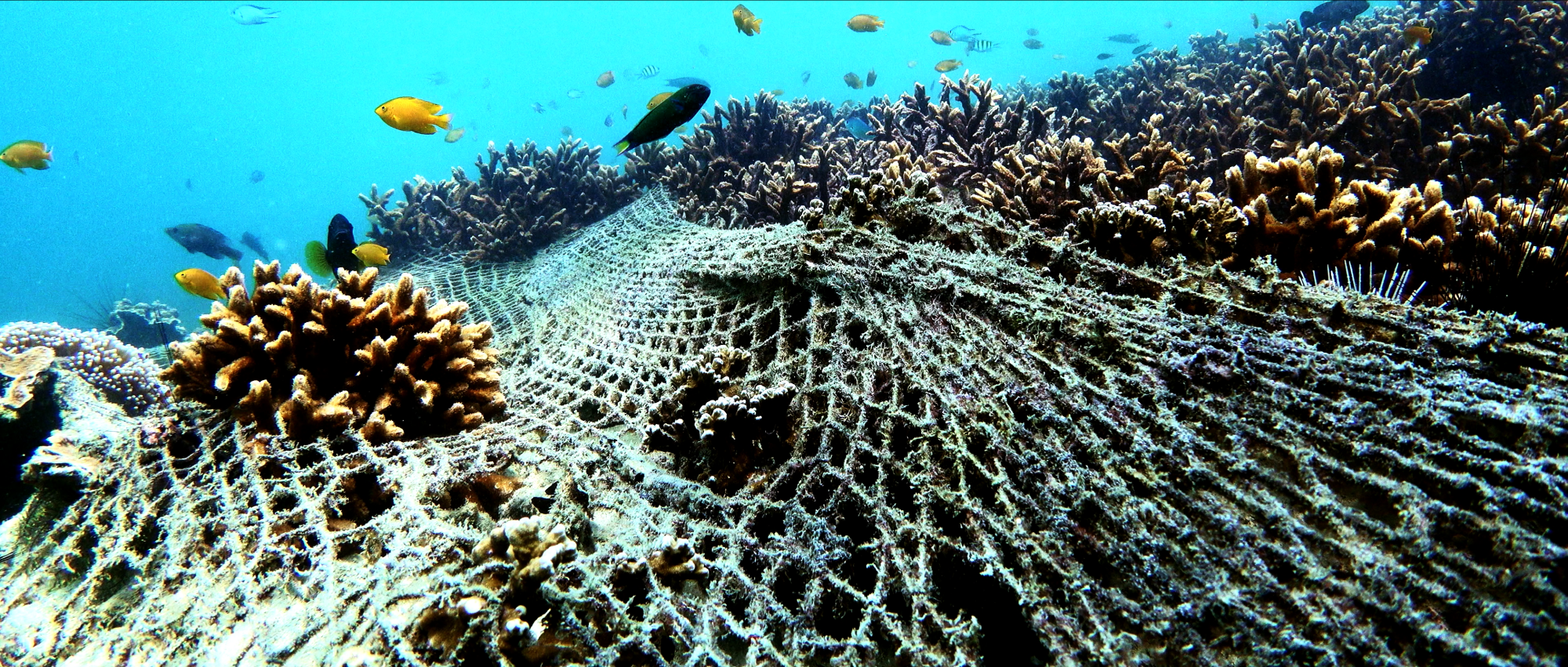 《海洋陰謀》