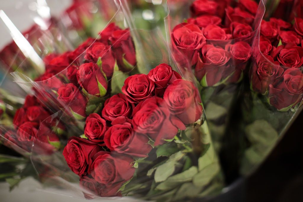 LONDON, ENGLAND - FEBRUARY 13: Bunches of roses on display at New Covent Garden Flower Market ahead of Valentine's Day on February 13, 2018 in London, England. New Covent Garden market is the largest wholesale fruit, vegetable, and flower market in the United Kingdom, supplying 75% of florists in London. (Photo by Jack Taylor/Getty Images)