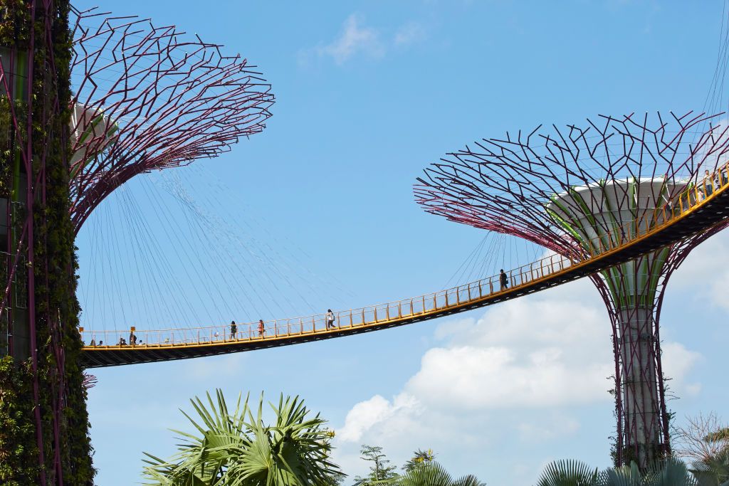 Gardens by the Bay, Singapore, Singapore. Architect: Wilkinson Eyre Architects, 2011. Supertrees and suspended walkway. (Photo by: Dennis Gilbert/View Pictures/Universal Images Group via Getty Images)