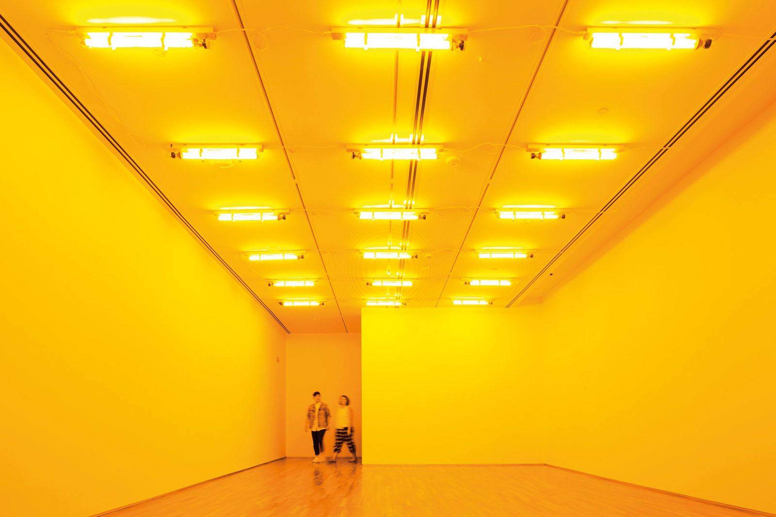 Room for One Colour by Olafur Eliasson