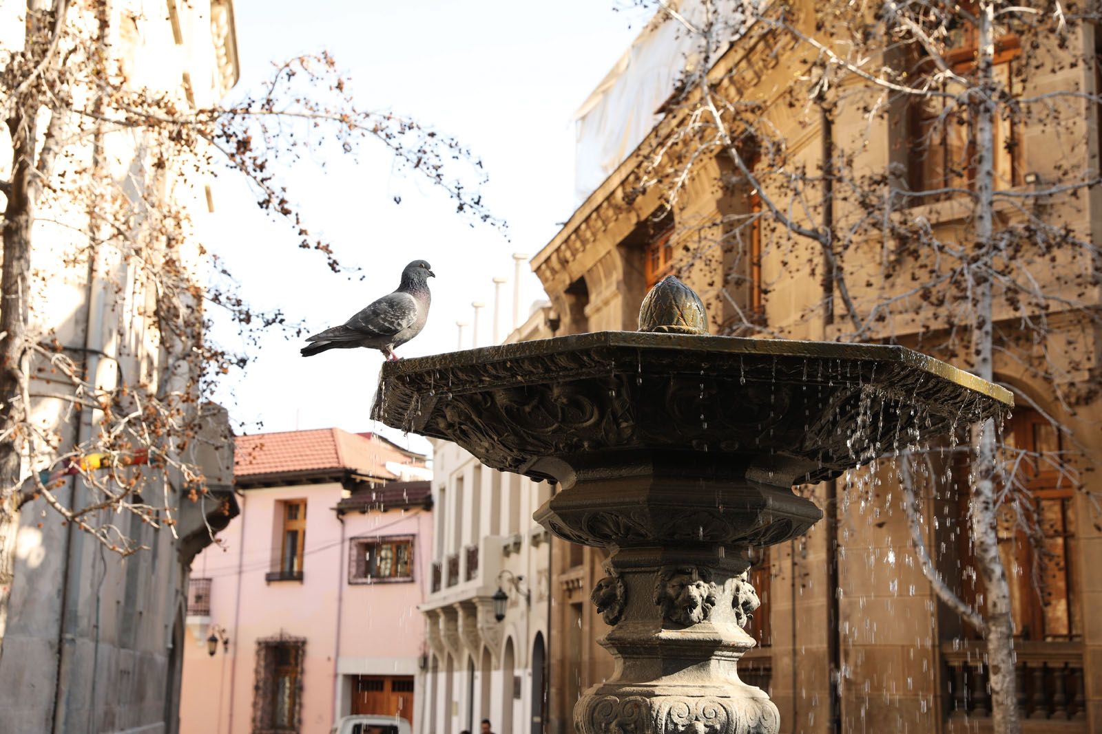 Colonial buildings abound in the Concha y Toro neighbourhood