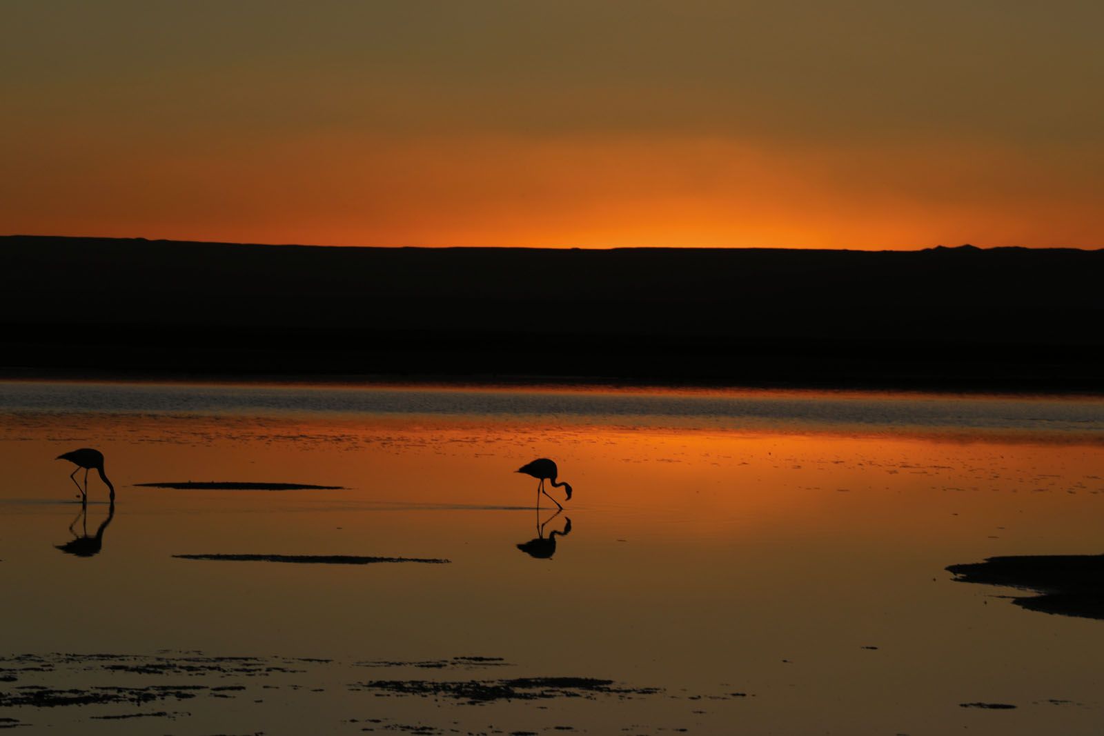 From burnt orange to soft purple, the multicoloured Atacameñan sunsets leave a lasting impression