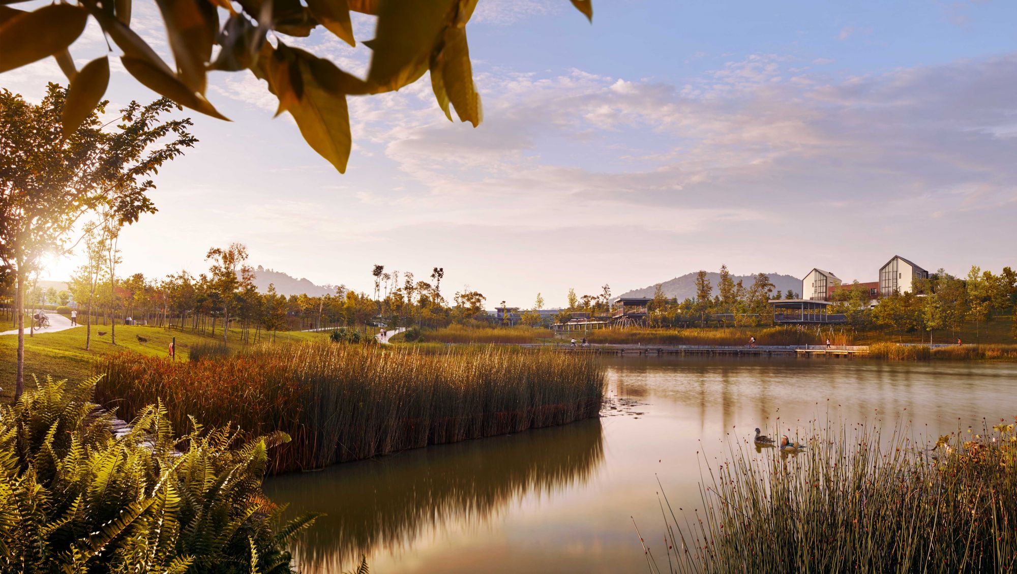 The rehabilitation of Gamuda Gardens has seen the return of biodiversity to the area.