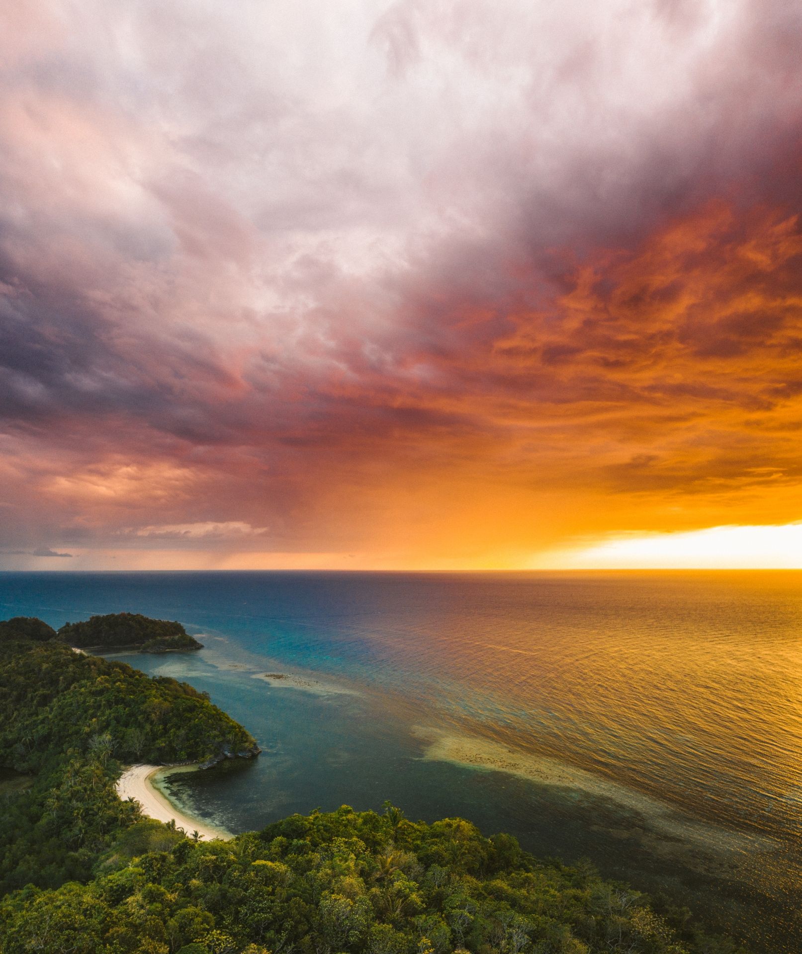 Danjugan Sanctuary (Photo: Jackson Groves)