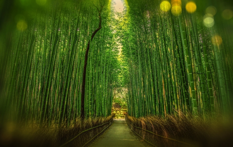 kyoto-1860521_1280.jpg