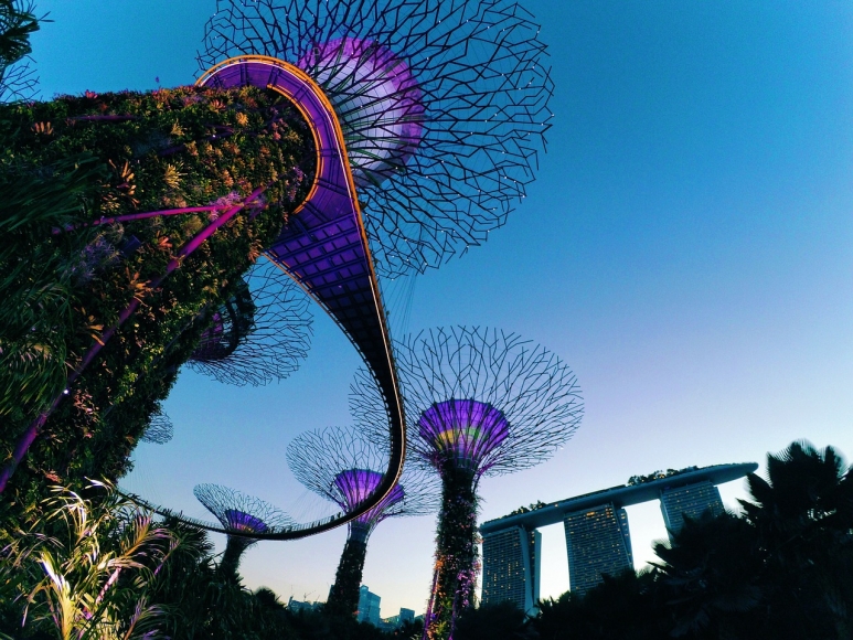 singapore-2259805_1280.jpg