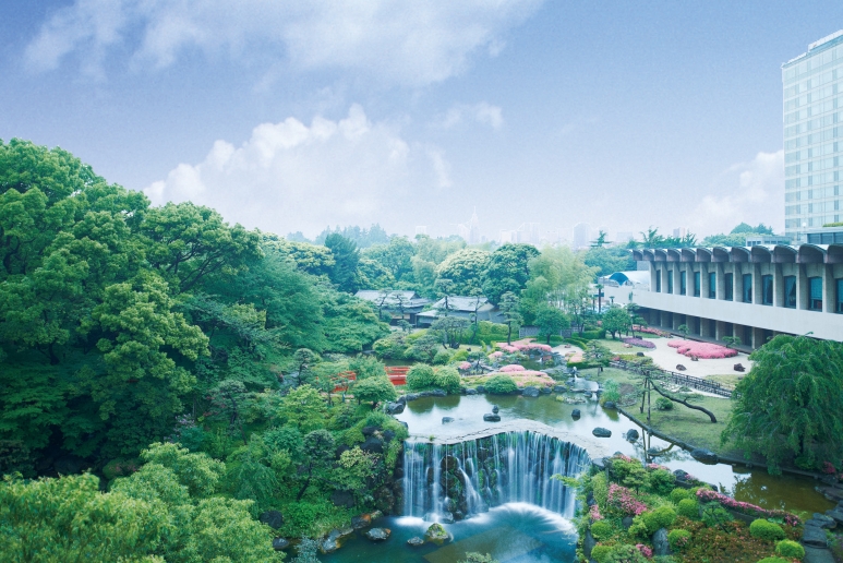 JapaneseGarden Daylight.jpg