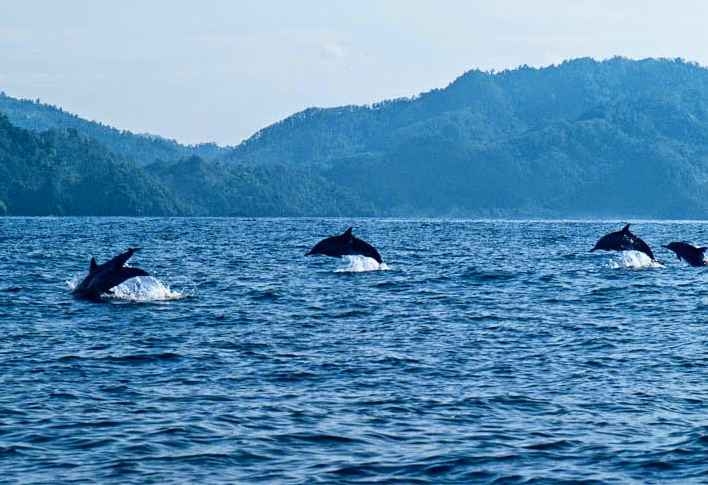 kiluan.jpg