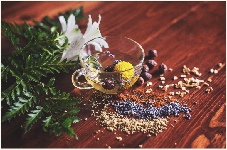 holy basil.jpg
