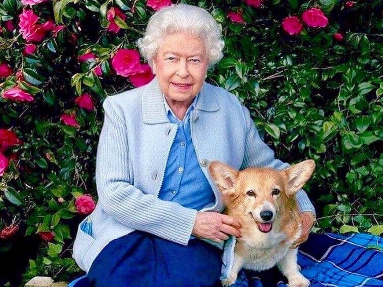 miror.jpg