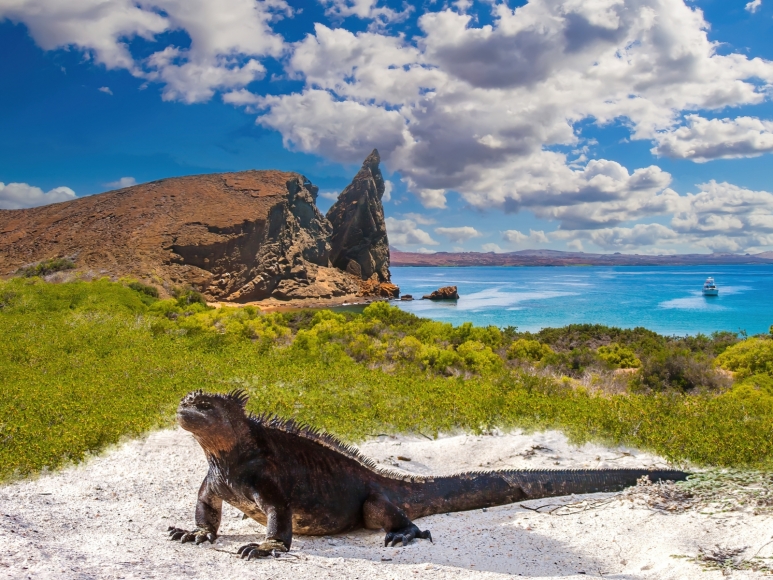 galapagos island.jpeg