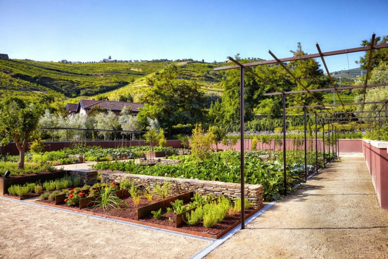 20160451-ssdv-organic-garden_article_2000x1334.jpg