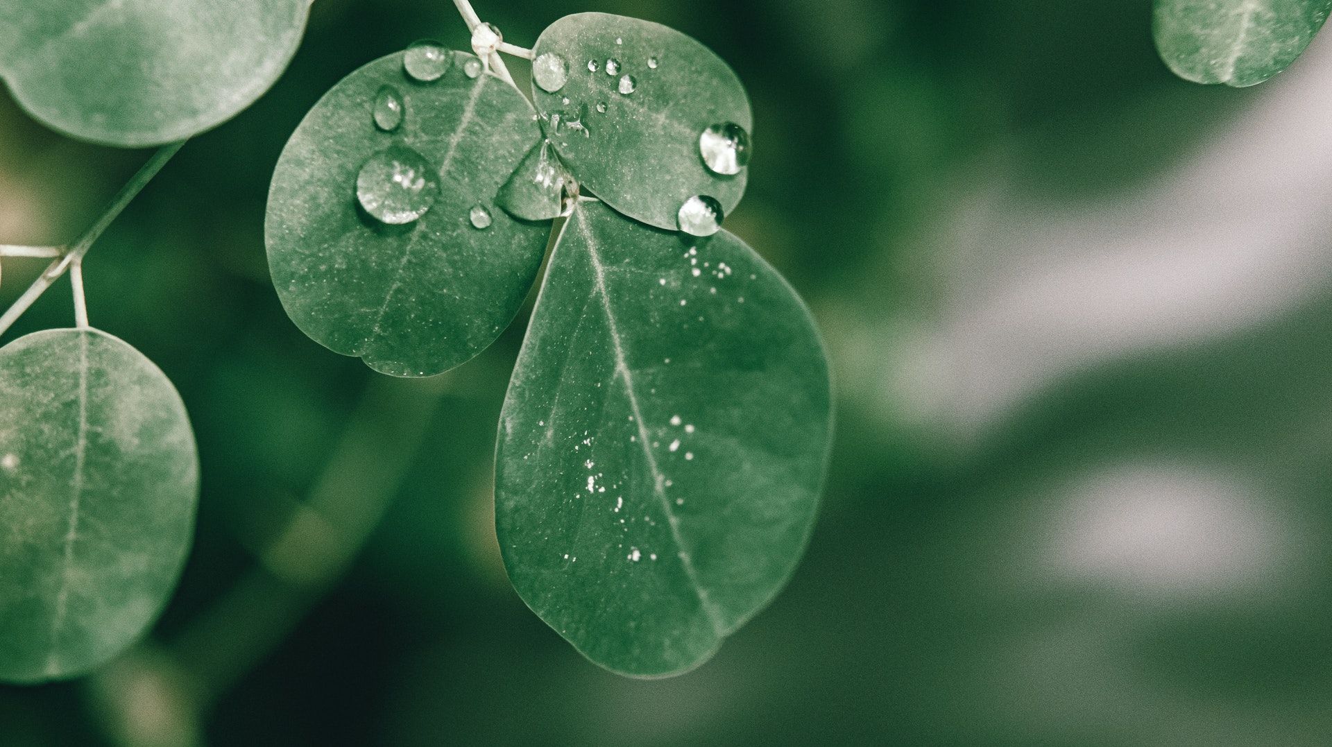 Photo by Nothing Ahead from Pexels