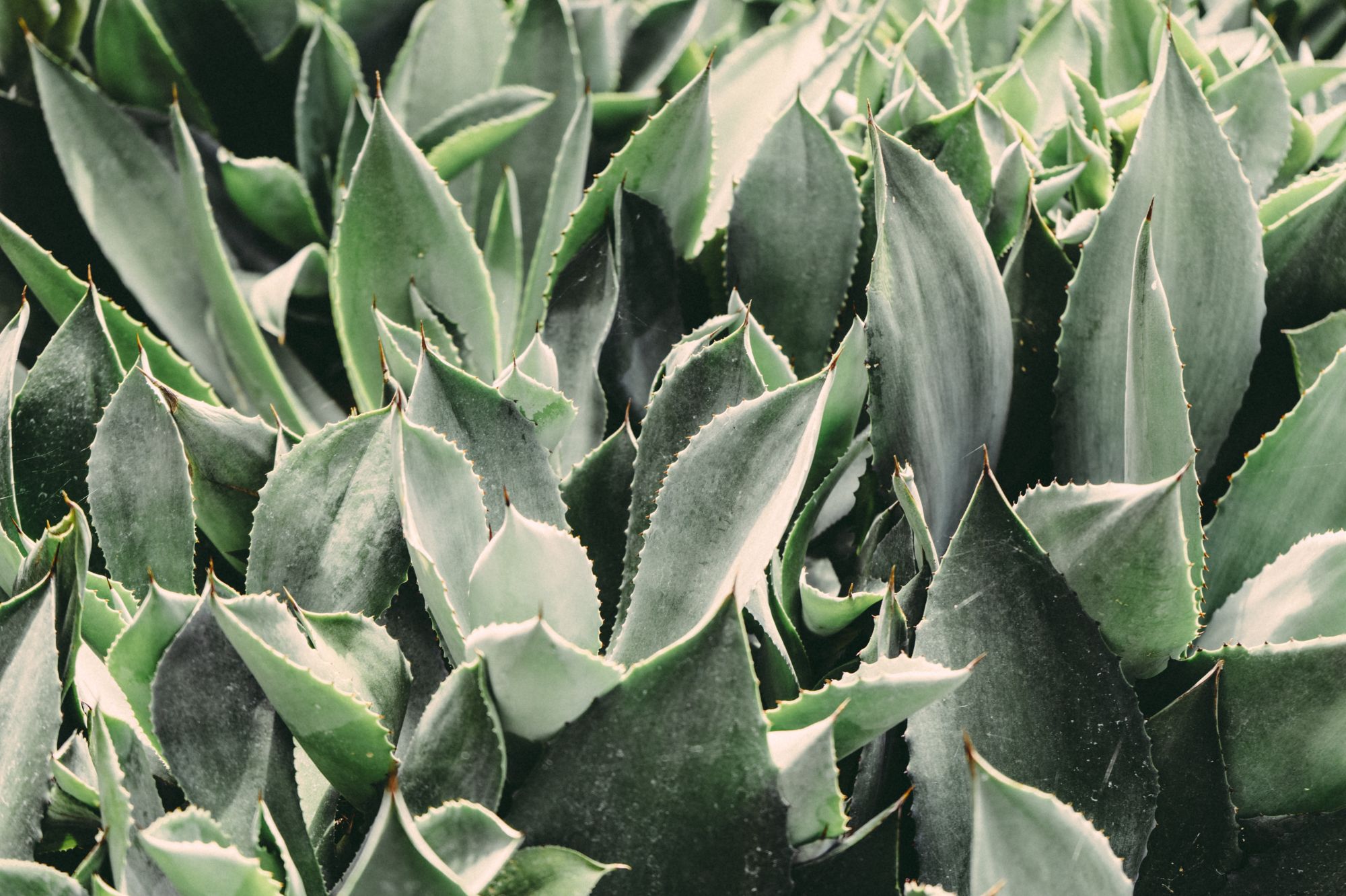 Photo by Scott Webb from Pexels