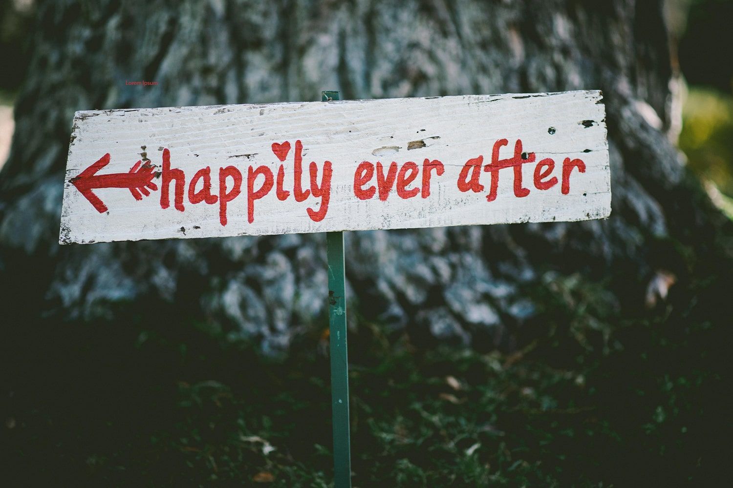 white sign with painted "happily ever after" in red lettering