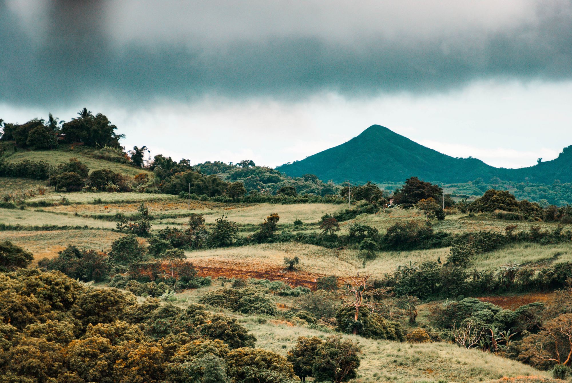 Photo by Gerald Escamos from Pexels