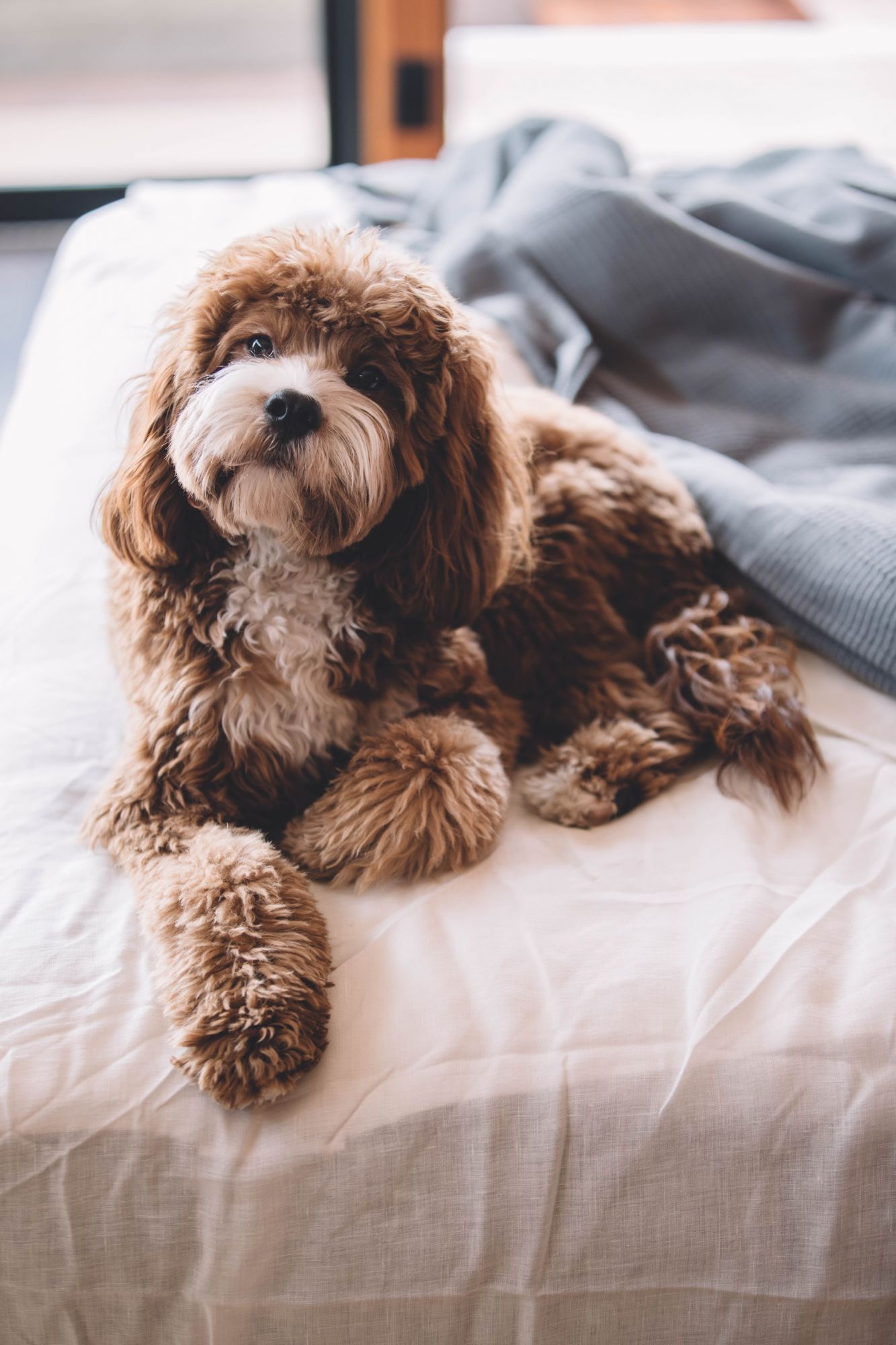 Photo: Unsplash