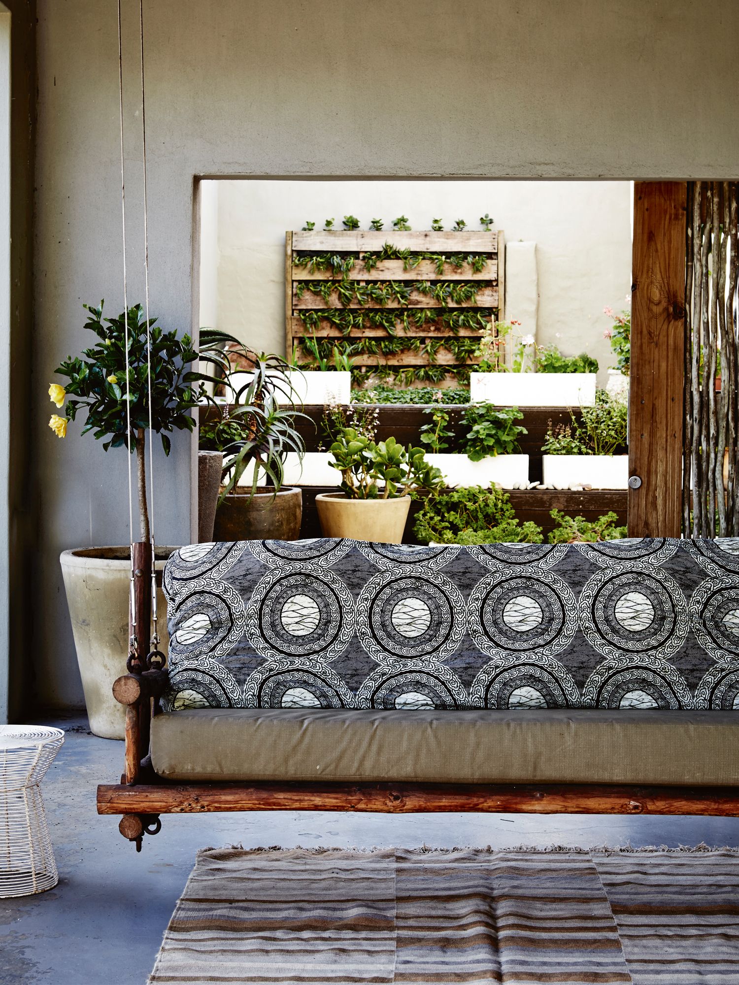 Lush green companions add a vibrant touch to abodes