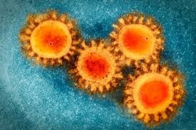 Photo: Medical News Today