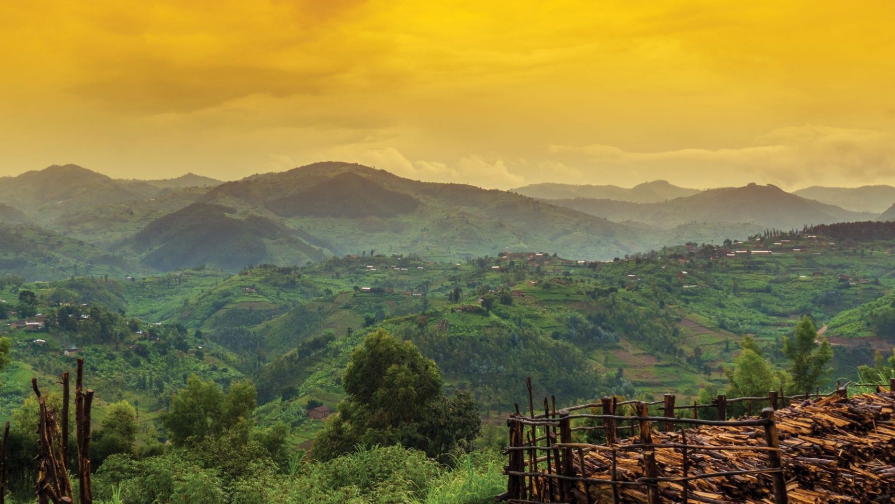 Ethiopia | Photo Intercontinental Coffee Trading Inc.