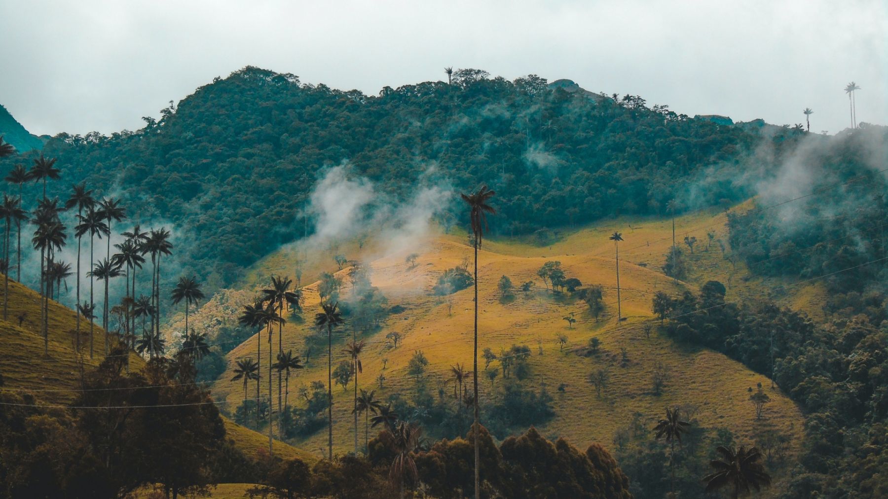 Photo: Fernanda Fierro \ Unsplash