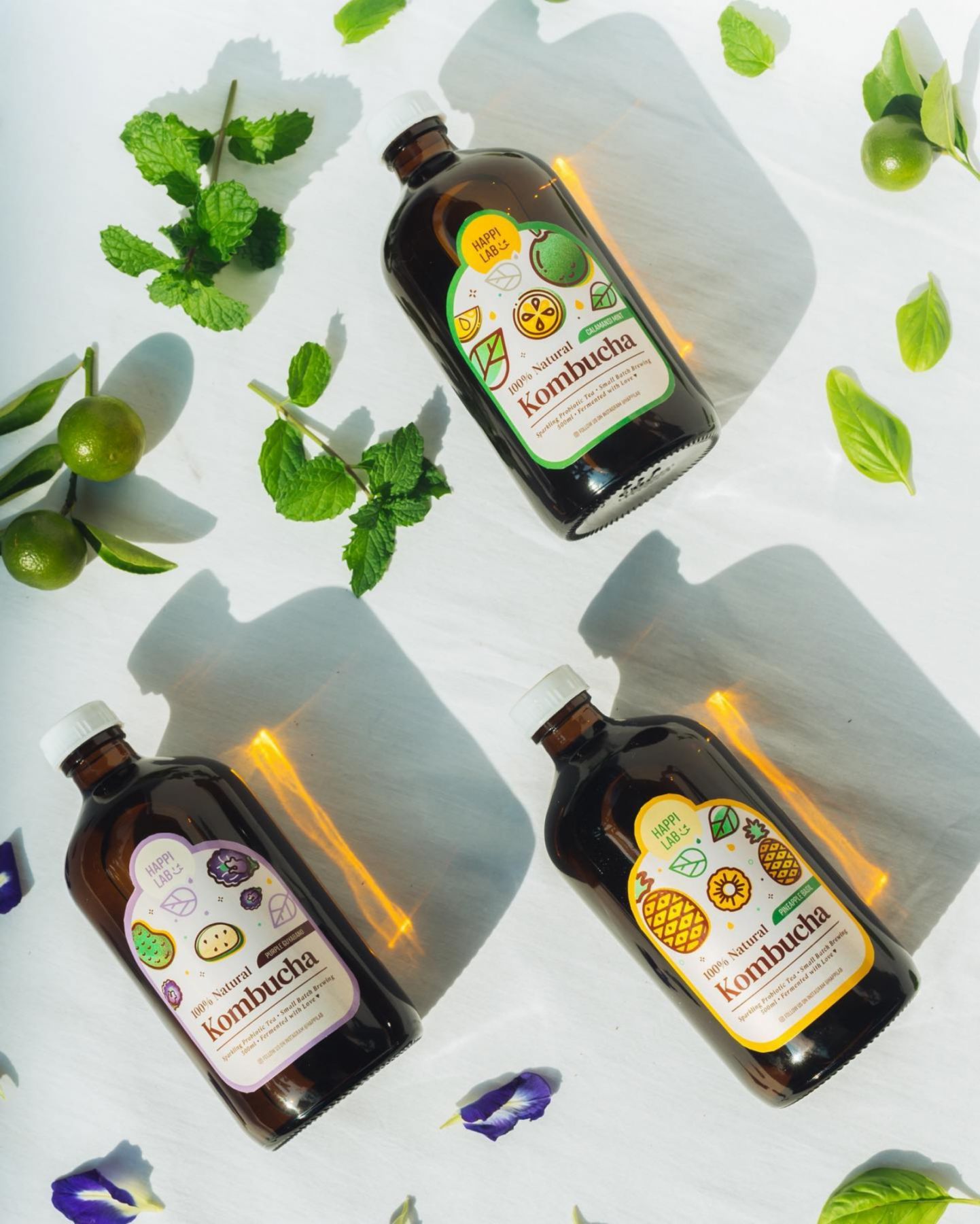 Kombucha What Is It, And Where Can I Get It In The Philippines