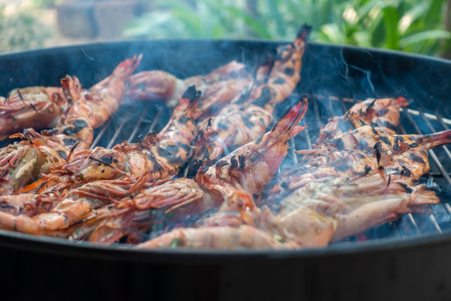 Prawns | Photo: Chandan Singh \ Unsplash
