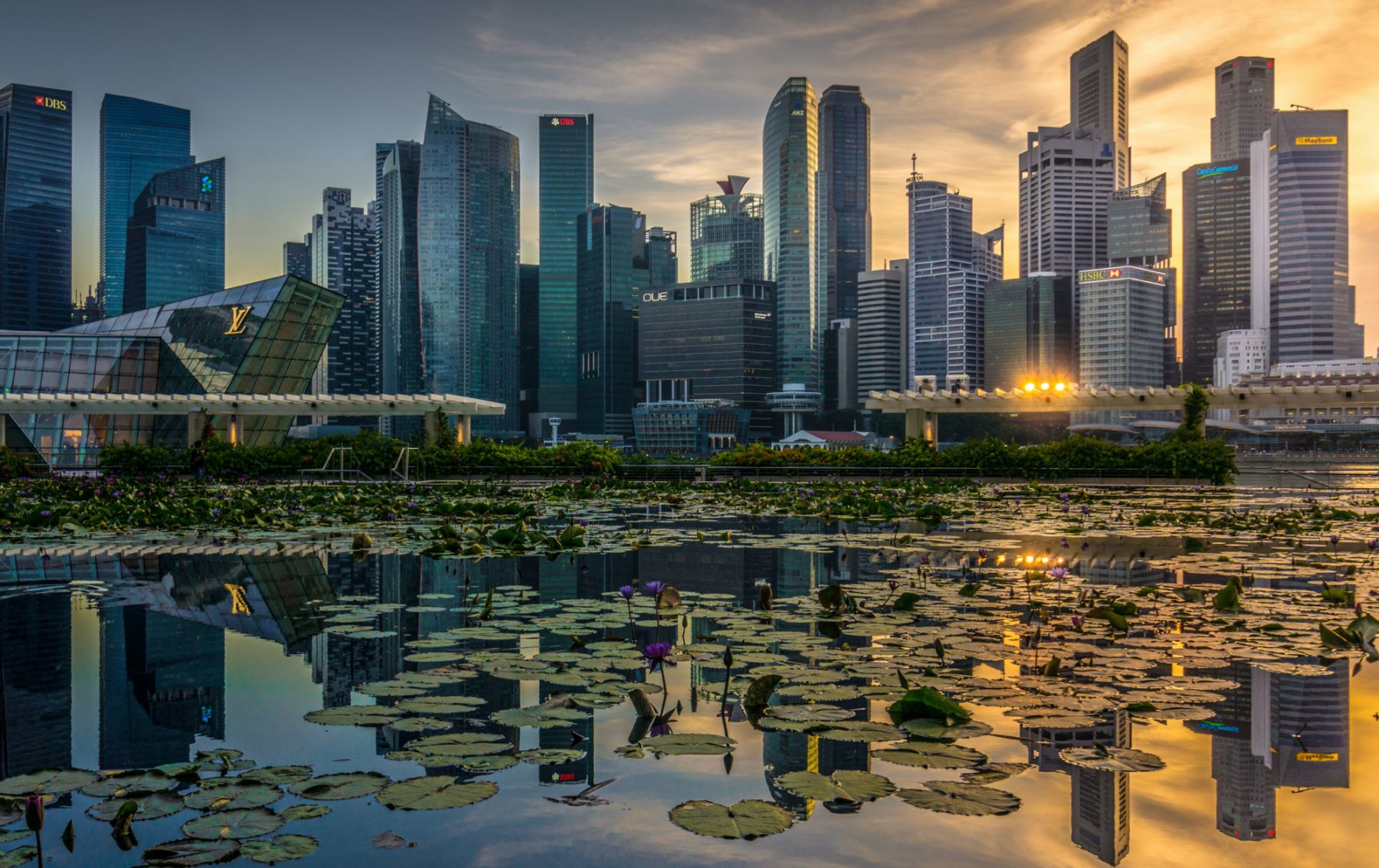 Singapore's property market has managed to stabilised quickly after the hit of the pandemic Image: Mike Enerio/Unsplash