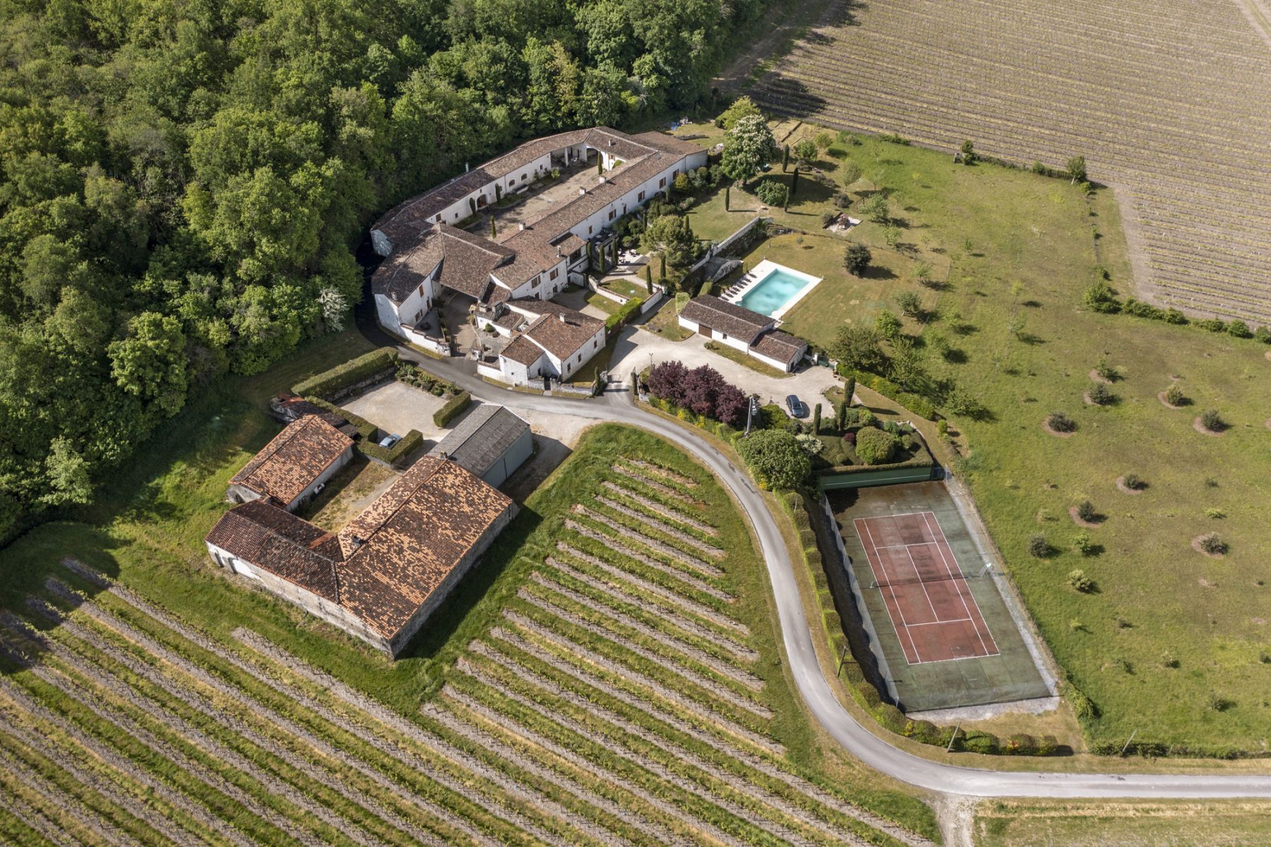 Cognac