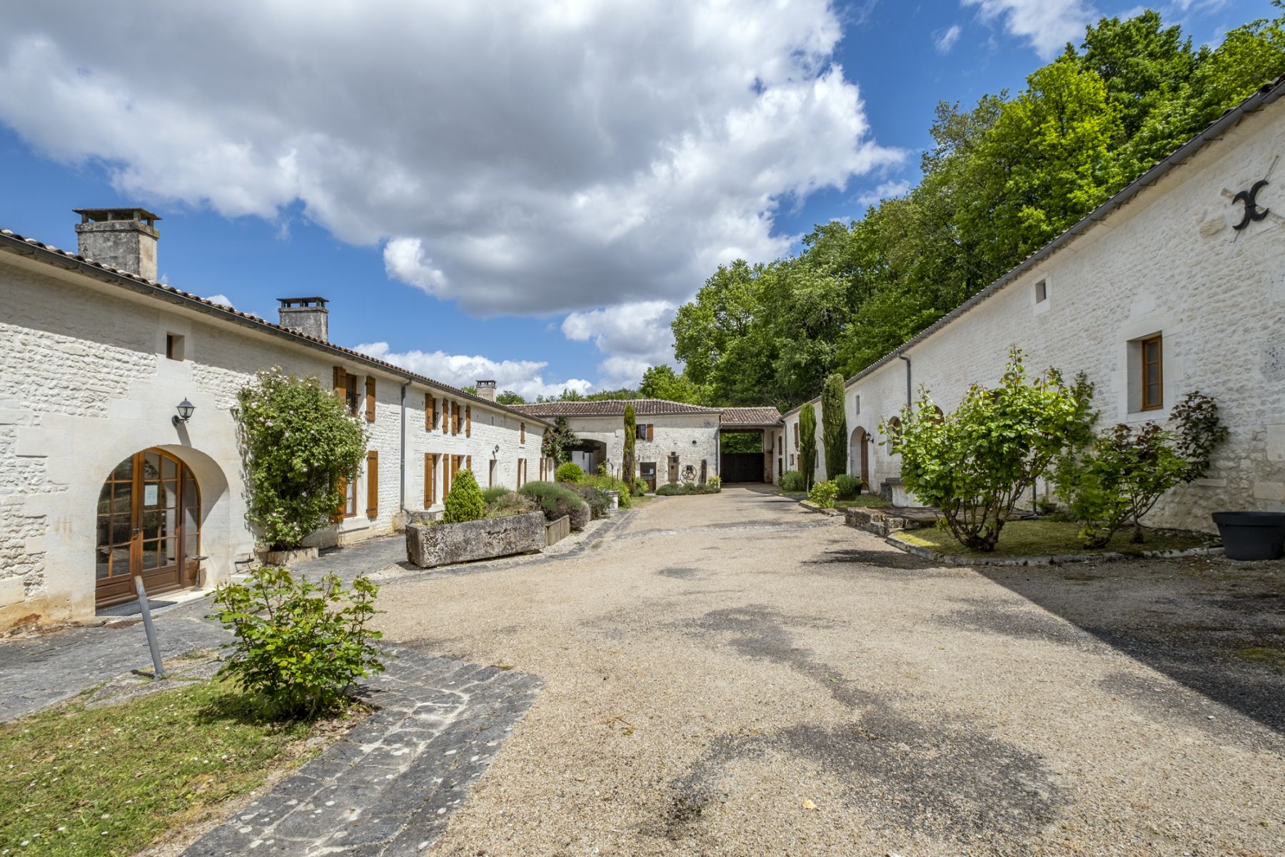 Cognac