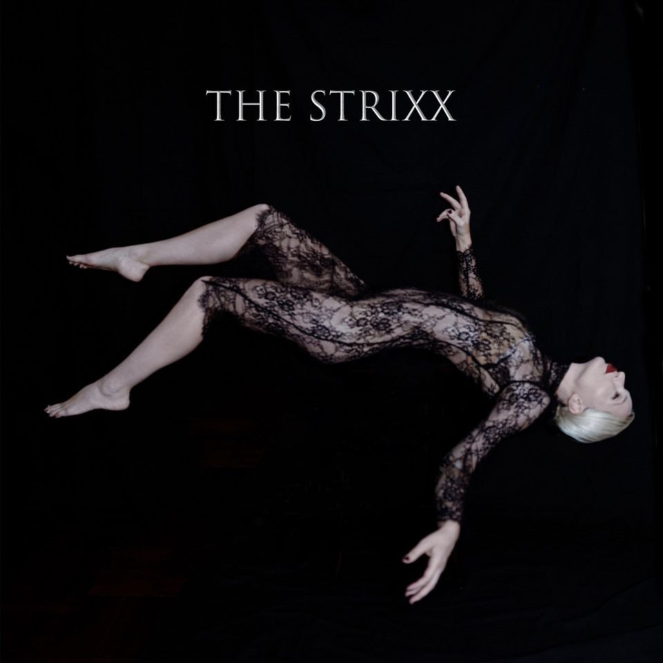 The Strixx is d'Arenberg's new band with guitarist Eamonn Fitzpatrick