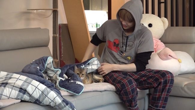 The living room is furnished appropriately for his feline companions (Image: Courtesy of MBC)